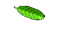 Kay